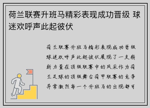 荷兰联赛升班马精彩表现成功晋级 球迷欢呼声此起彼伏