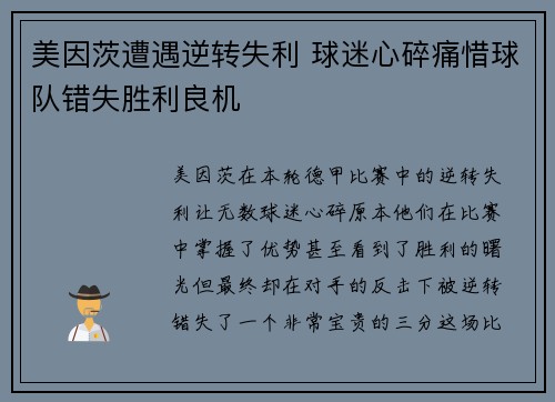 美因茨遭遇逆转失利 球迷心碎痛惜球队错失胜利良机